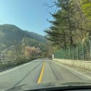 4월의밀밭 이미지