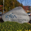 기관목장 이미지