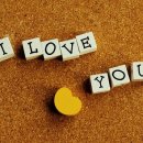 장고행정사 이미지