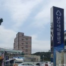 낙지와 피자를 한번에~ 불끈낙지 하단점