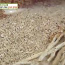 산더미감자탕 이미지