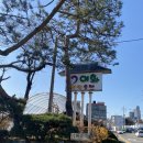 장승로 | [인천] 순대국 맛집 &lt;이화찹쌀순대&gt; 추운날 다녀온 내돈내산 후기 | 서이추환영