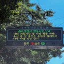 오정은a김밥 양산1호점 이미지