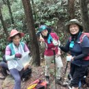 곡성-225 이미지