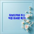 열대자보건진료소 | 🍇 자보티카바 주스 3개월 실사용 후기! 항산화 끝판왕의 진짜 효능은? (거북이주스 수이비 NFC100%)