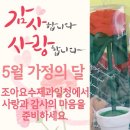 5월 감사의 선물준비하세요^^(핸드메이드 카네이션펜 증정) 이미지