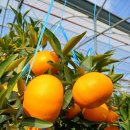 에이치알 농장 이미지