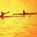 행복자리 이미지