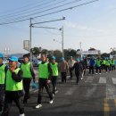 완도중학교 이미지