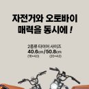 바이크라인