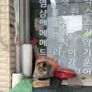 다올회센타
