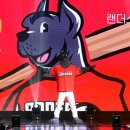 한국인 선호 구단 1위 KIA 2위 한화… ‘좋아하는 팀’ 따로, ‘이기는 팀’ 따로 이미지