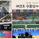 단 태권도 | 태권도 승급 심사 품티 심사 단 비용 국기원 다녀온 후기