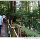 장태산휴양림 이미지