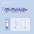 코로나19 진단 검사 방법 (부제: 전문가용 신속항원검사 vs. 자가검사키트, 방역패스 인정) 이미지