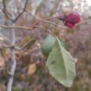 은성산업(주) - 1626 | 은성산업(주)