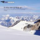 백숙삶다 이미지