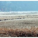 농업농촌테마마을 이미지