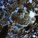 솔다박마을 이미지