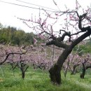 사곡2리 이미지