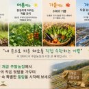개금농장 네이버블로그