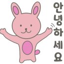 플로르미래 이미지