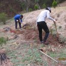 황금빛농장 이미지