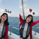 돌고래하우스 | (제주 대정) 돌고래보고 싶어 요트투어간 내돈내산 후기(운영시간·요금 정리): &lt;M1971 요트투어&gt;
