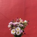 성욱농장 이미지