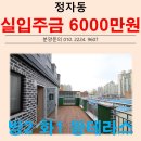 대평중학교(정자동) | 수원 신축빌라 주변 환경 너무 좋은 투룸 테라스 정자동 신축빌라 창룡빌 !!
