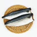 (주)씨앤씨오션
