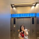 머스크 - 제주시 진동로3길 30 | 후쿠오카 하카타역 신선산도 오픈런 후기! 머스크멜론 산도는 꼭 드세요🍈