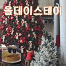 만천로 | 춘천 대형카페 올데이스테이 | 분위기 좋은 크리스마스트리 카페 애견동반 내돈내산 후기
