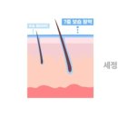 블루마린 아쿠아스쿨 이미지