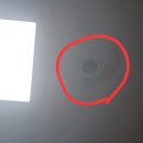 포항전업사
