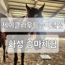 [제이클라우드승마센터]화성 승마장 체험 건강한 취미