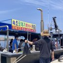 속초여행코스 속초배낚시 모래기호 체험 후기