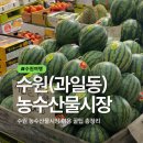 농수산물도매시장 | 수원 농수산물도매시장 과일동 방문후기 및 영업시간 주차 휴무일 총정리