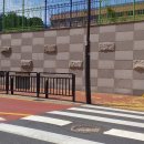 옐로카펫 이미지