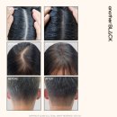아인스케치인 네이버블로그