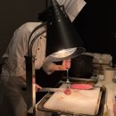 의일로 | 신라호텔 라일락홀 뷔페 후기 기업행사 대관