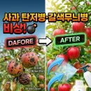 오투퓨어