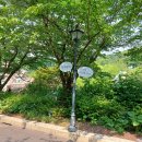 게임어드벤처(삼성물산) | 5월 평일 에버랜드 오픈런 후기 (ft. 체험학습 온 학생들 정말 많아요)