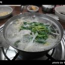 광장복어 이미지