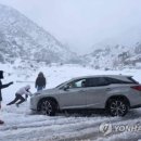 마곡동부공인중개사사무소 네이버블로그