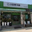 강원 원주 카페 | 135겹 네모빵 맛집 신림빵카페 후기 ☕🍞