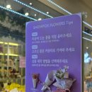 구래역 꽃집 스노우폭스 플라워 김포구래점 가성비 한송이꽃다발 내돈내산후기