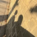 지에스25효자시티점 | 서촌 데이트 코스 - 차분한 분위기에 미슐랭과 음악을 더한 데이트