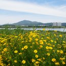 대산체육공원 이미지