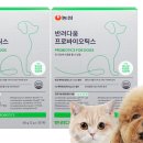 다움동물병원 이미지